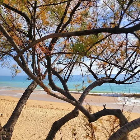 Lejlighed Sun & Nature Corcovada Albufeira